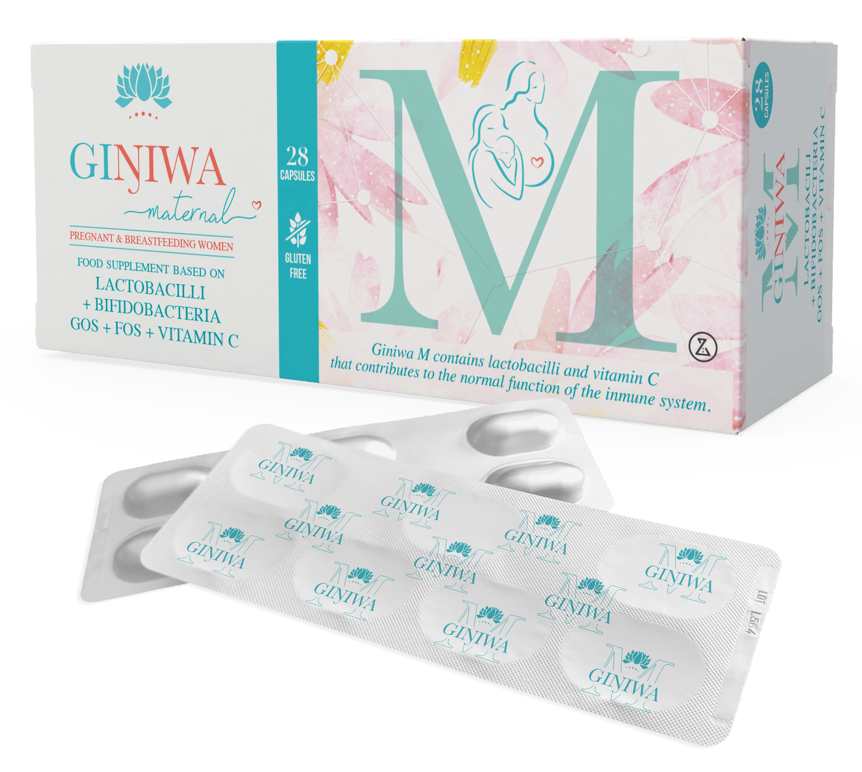 Giniwa M