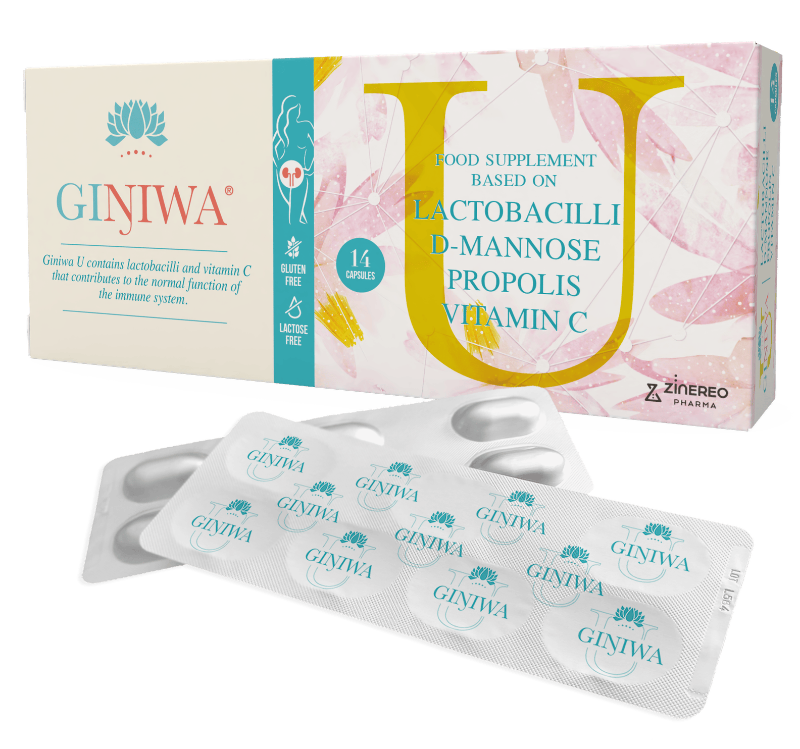 Giniwa U