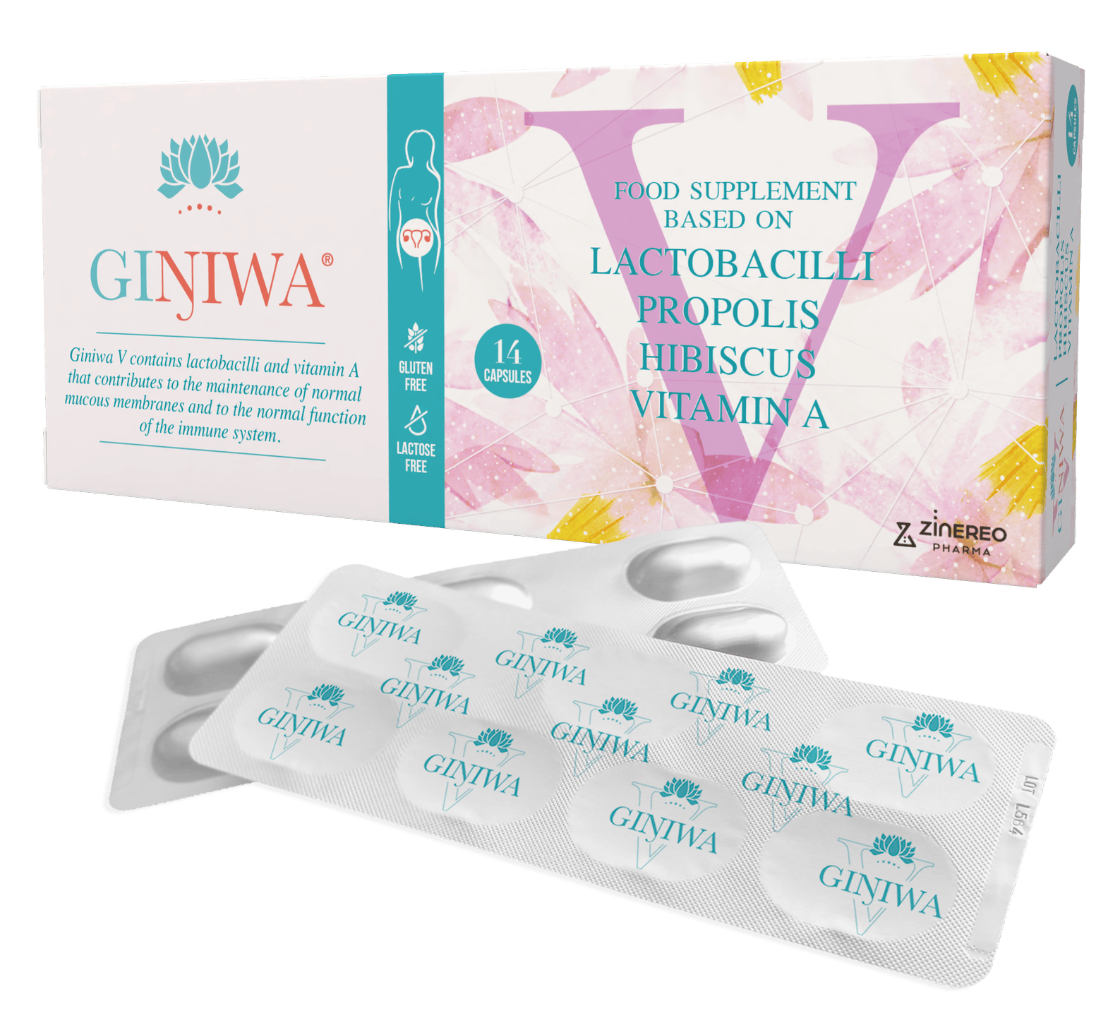 Giniwa V