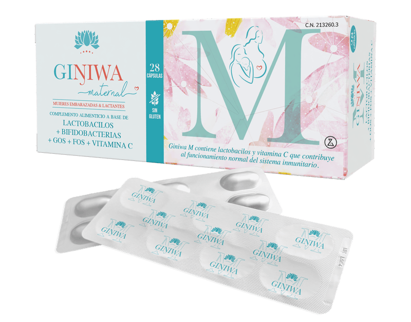 Giniwa M