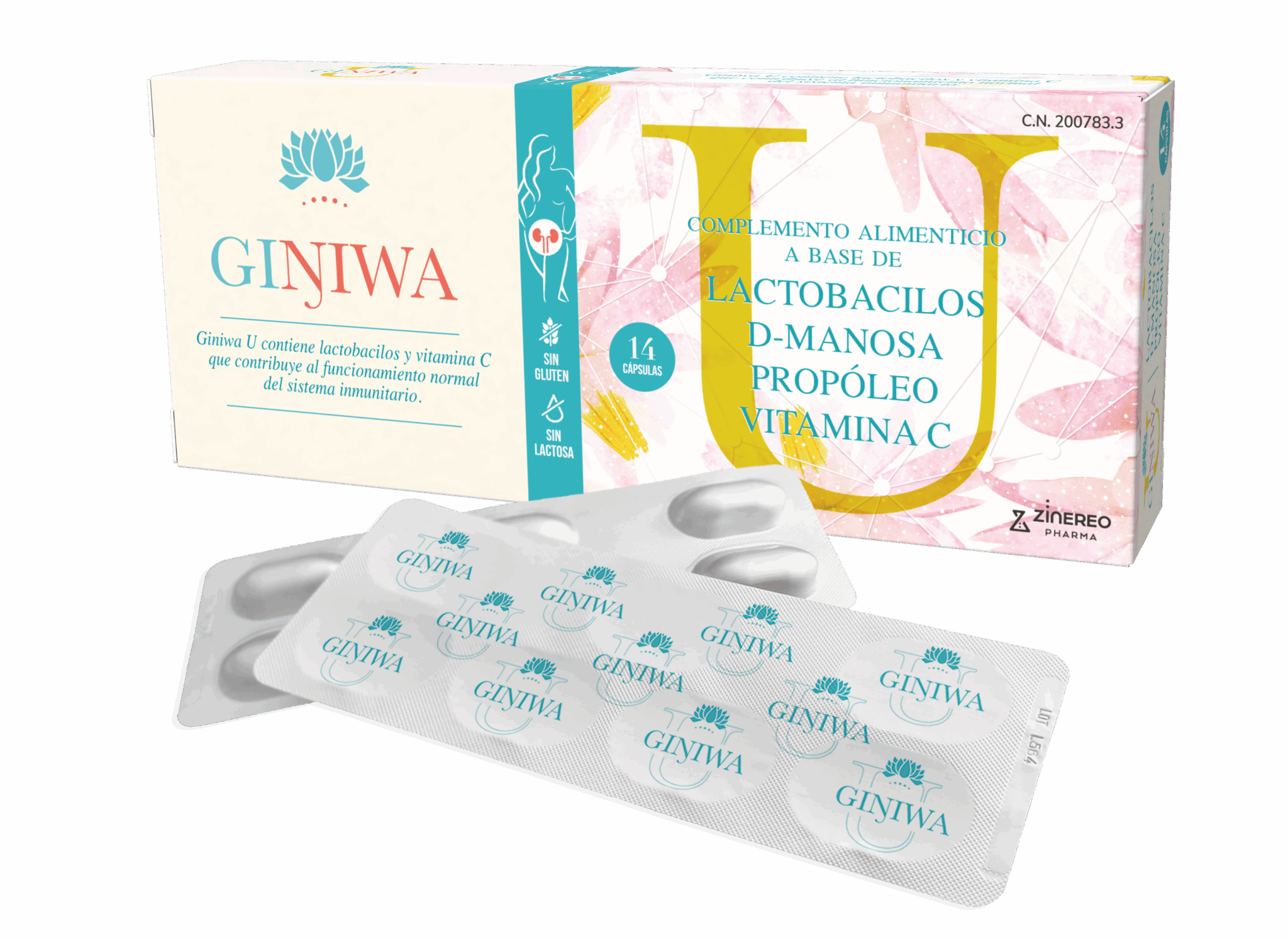 Giniwa U