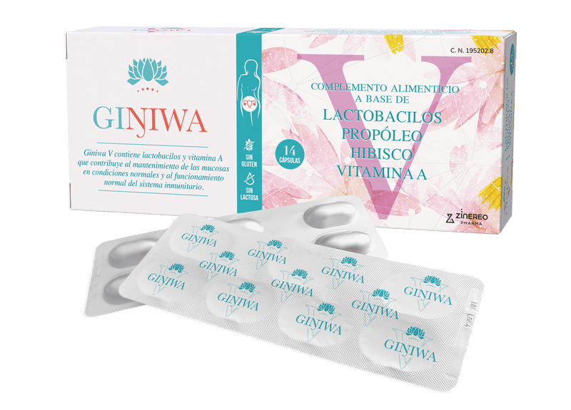 Giniwa V