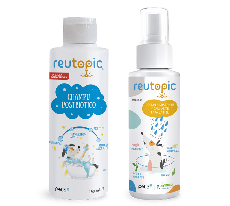 Reutopic